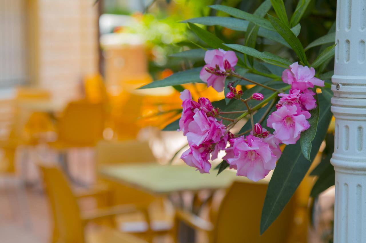 Lalla Hotel 3*